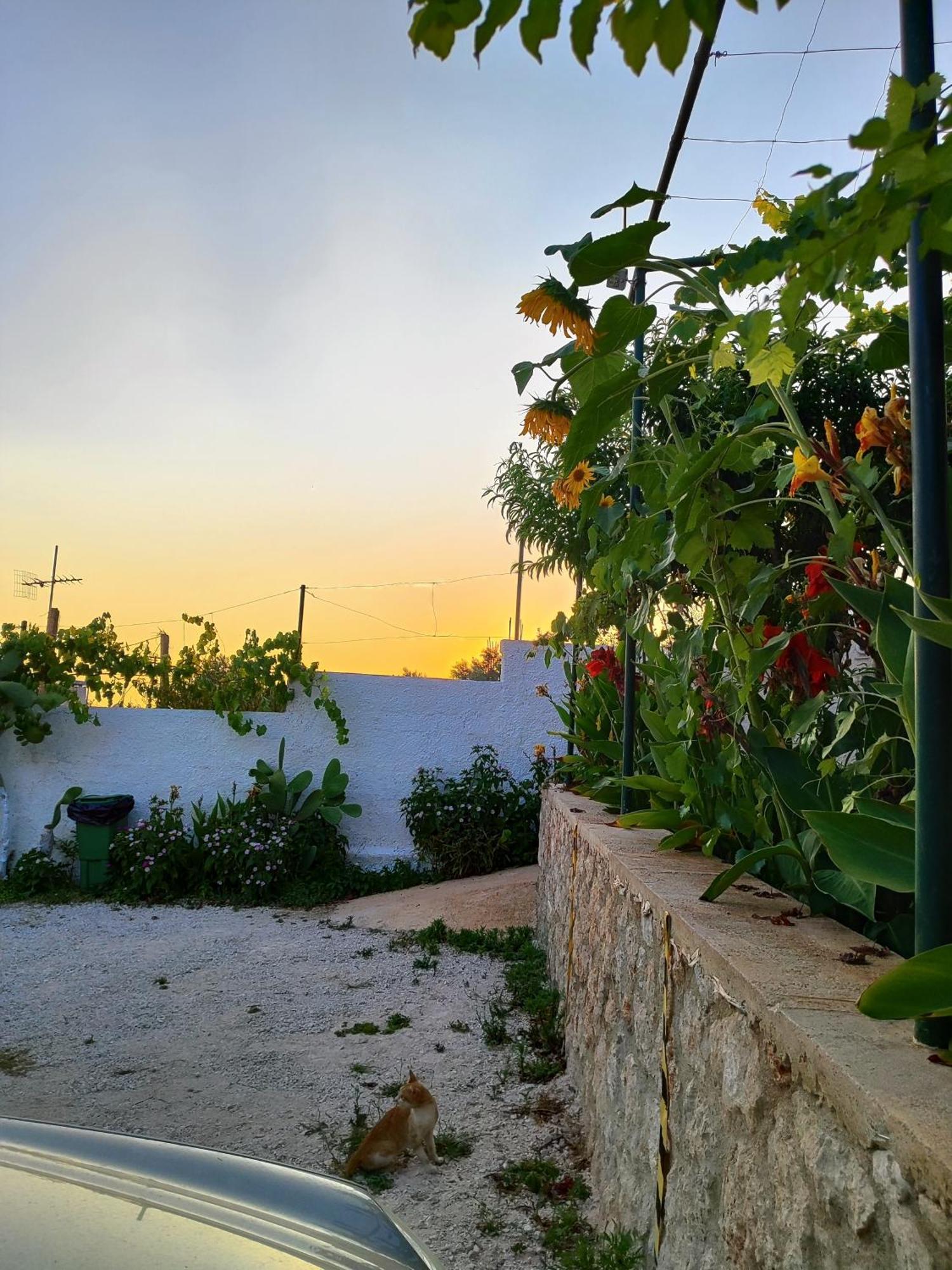 Siempre Viva Maison d'hôtes Dhërmi